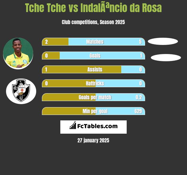 Tche Tche vs IndalÃªncio da Rosa h2h player stats