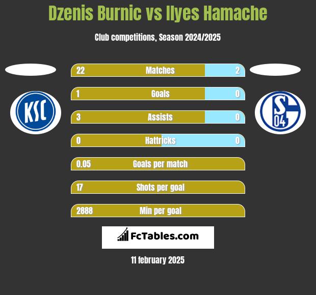 Dzenis Burnic vs Ilyes Hamache h2h player stats