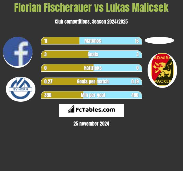 Florian Fischerauer vs Lukas Malicsek h2h player stats