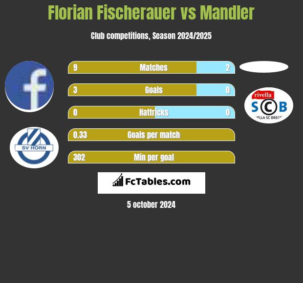 Florian Fischerauer vs Mandler h2h player stats