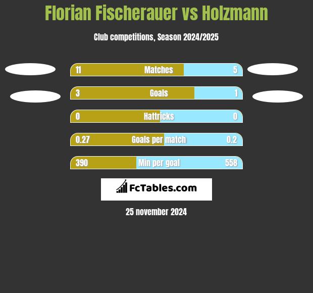 Florian Fischerauer vs Holzmann h2h player stats