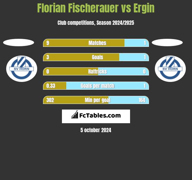 Florian Fischerauer vs Ergin h2h player stats