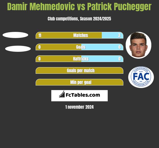 Damir Mehmedovic vs Patrick Puchegger h2h player stats