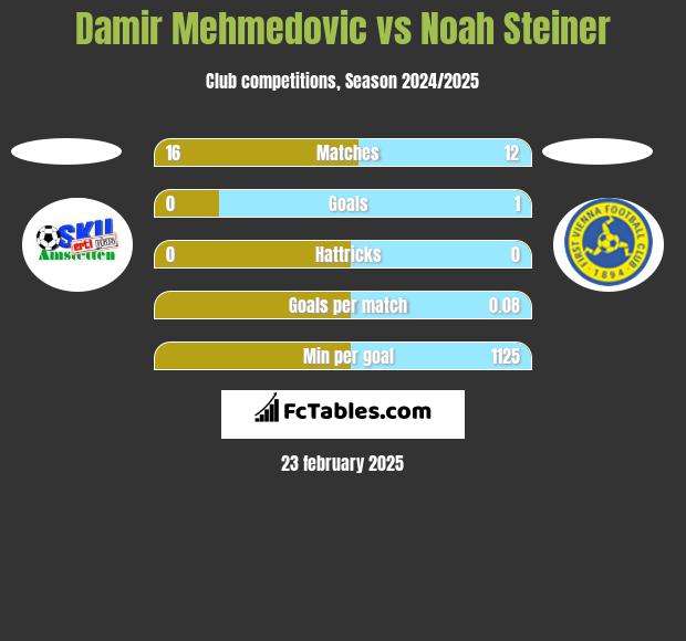 Damir Mehmedovic vs Noah Steiner h2h player stats