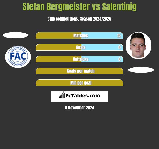 Stefan Bergmeister vs Salentinig h2h player stats