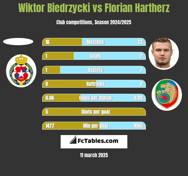 Wiktor Biedrzycki vs Florian Hartherz h2h player stats