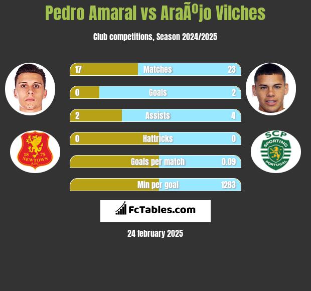 Pedro Amaral vs AraÃºjo Vilches h2h player stats