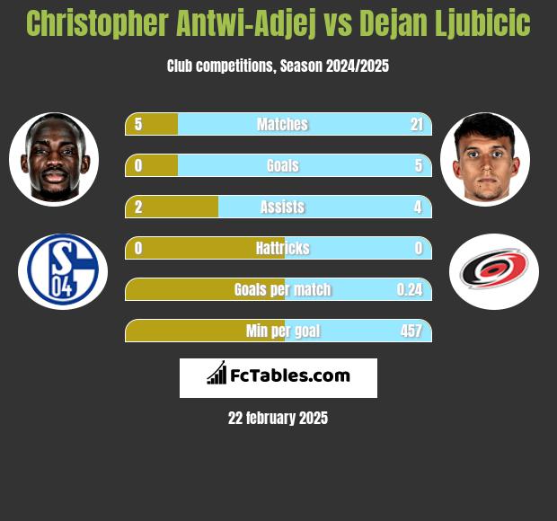 Christopher Antwi-Adjej vs Dejan Ljubicic h2h player stats