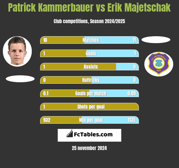 Patrick Kammerbauer vs Erik Majetschak h2h player stats