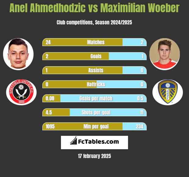 Anel Ahmedhodzic vs Maximilian Woeber h2h player stats