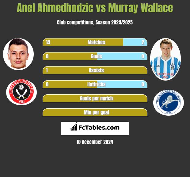 Anel Ahmedhodzic vs Murray Wallace h2h player stats