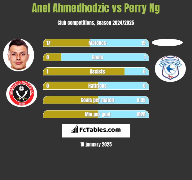 Anel Ahmedhodzic vs Perry Ng h2h player stats