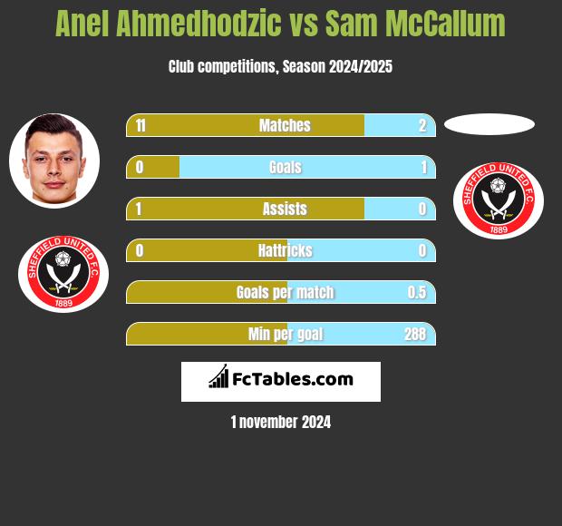 Anel Ahmedhodzic vs Sam McCallum h2h player stats