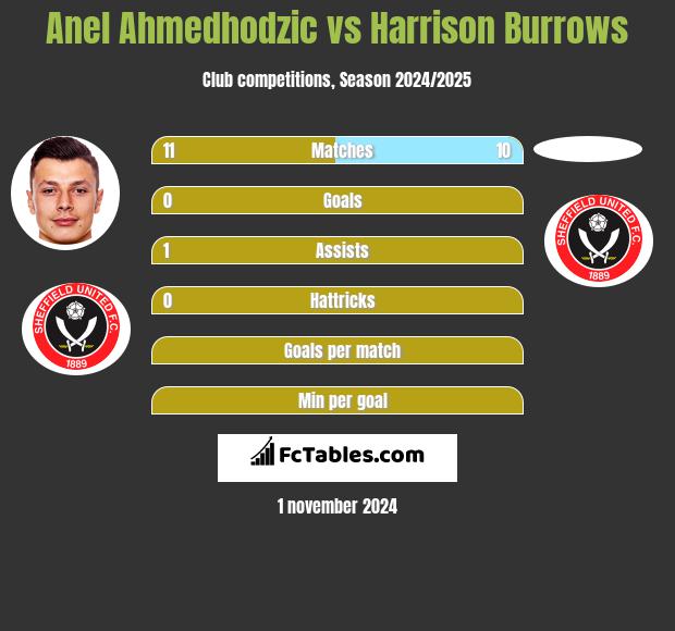 Anel Ahmedhodzic vs Harrison Burrows h2h player stats