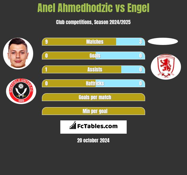 Anel Ahmedhodzic vs Engel h2h player stats