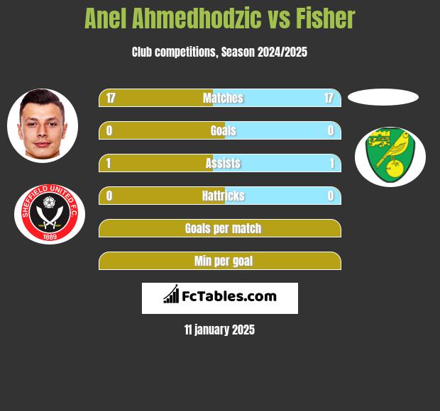 Anel Ahmedhodzic vs Fisher h2h player stats