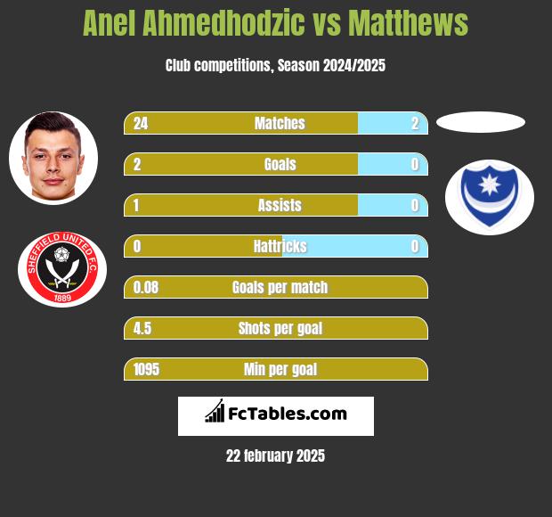 Anel Ahmedhodzic vs Matthews h2h player stats