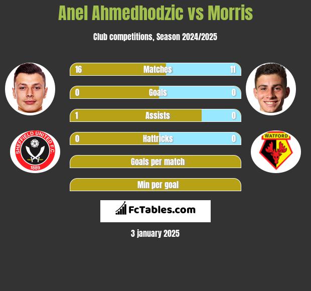 Anel Ahmedhodzic vs Morris h2h player stats