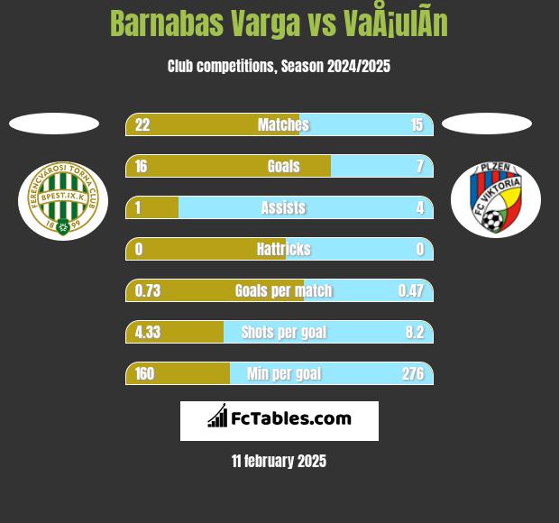 Barnabas Varga vs VaÅ¡ulÃ­n h2h player stats