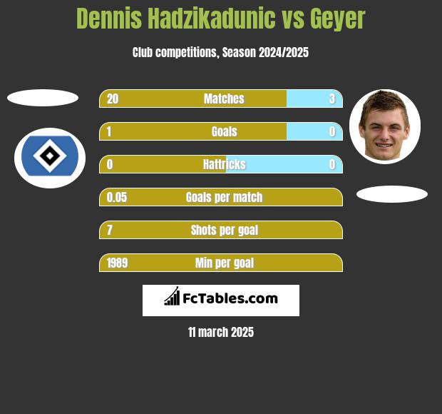 Dennis Hadzikadunic vs Geyer h2h player stats