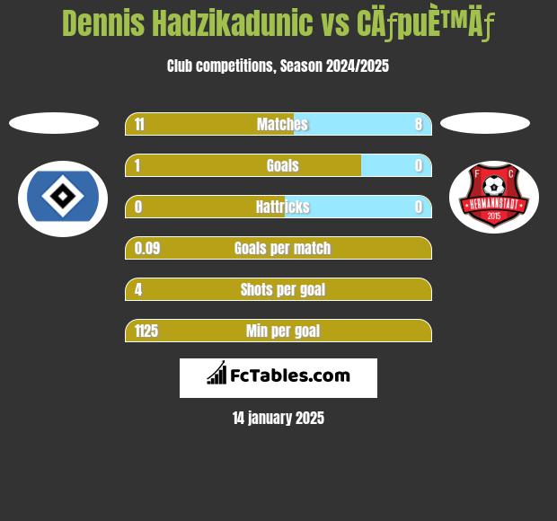 Dennis Hadzikadunic vs CÄƒpuÈ™Äƒ h2h player stats