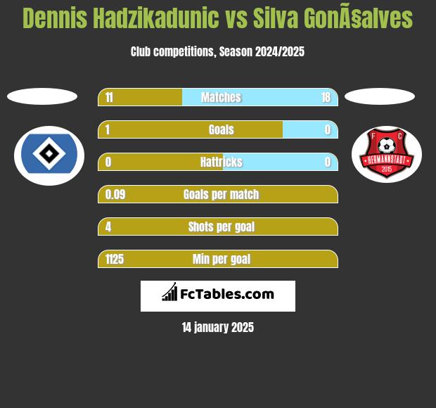 Dennis Hadzikadunic vs Silva GonÃ§alves h2h player stats