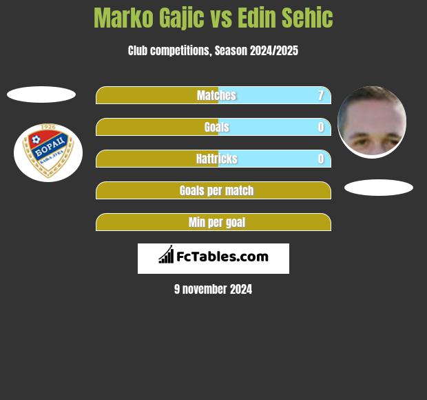 Marko Gajic vs Edin Sehic h2h player stats