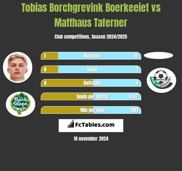 Tobias Borchgrevink Boerkeeiet vs Matthaus Taferner h2h player stats