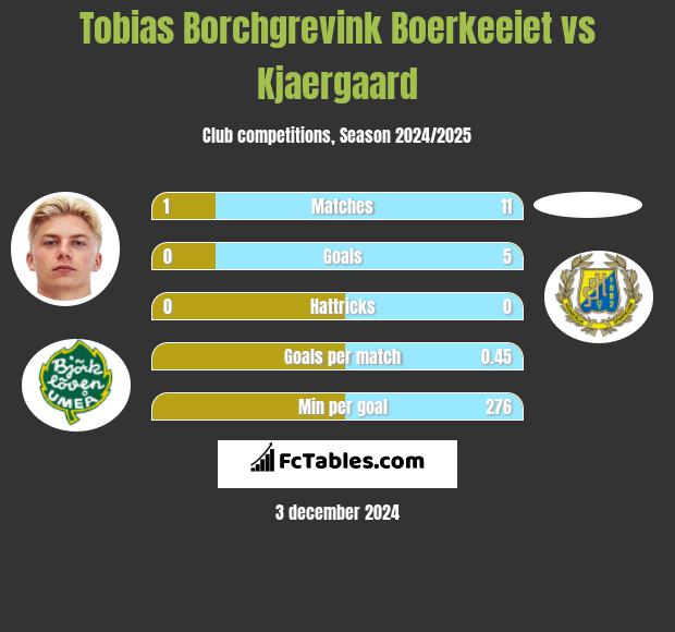 Tobias Borchgrevink Boerkeeiet vs Kjaergaard h2h player stats