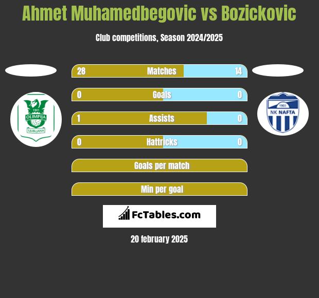 Ahmet Muhamedbegovic vs Bozickovic h2h player stats