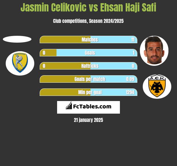 Jasmin Celikovic vs Ehsan Haji Safi h2h player stats