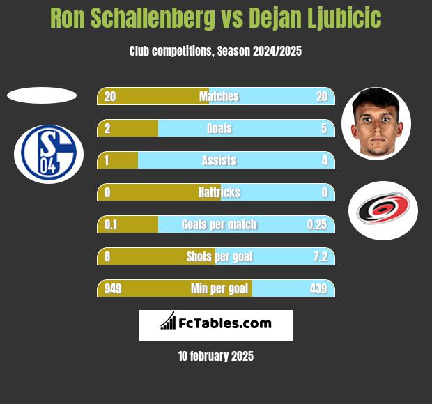 Ron Schallenberg vs Dejan Ljubicic h2h player stats