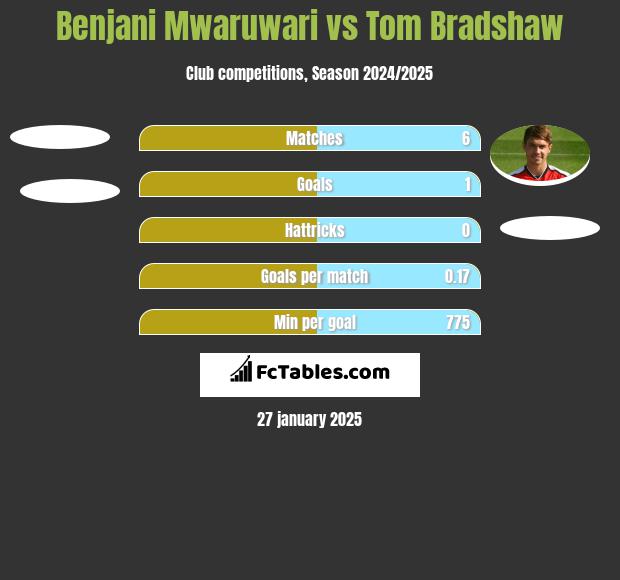 Benjani Mwaruwari vs Tom Bradshaw h2h player stats