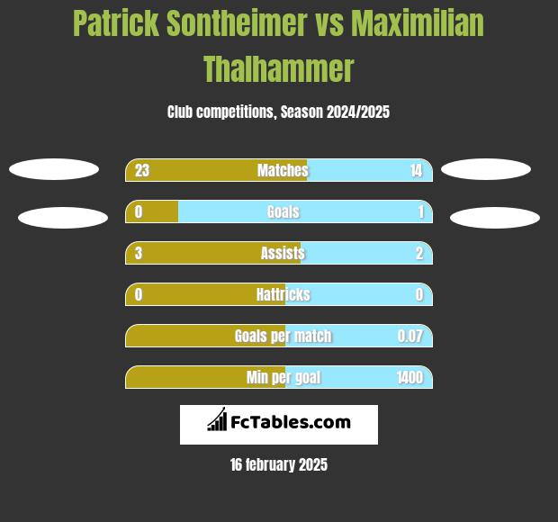 Patrick Sontheimer vs Maximilian Thalhammer h2h player stats