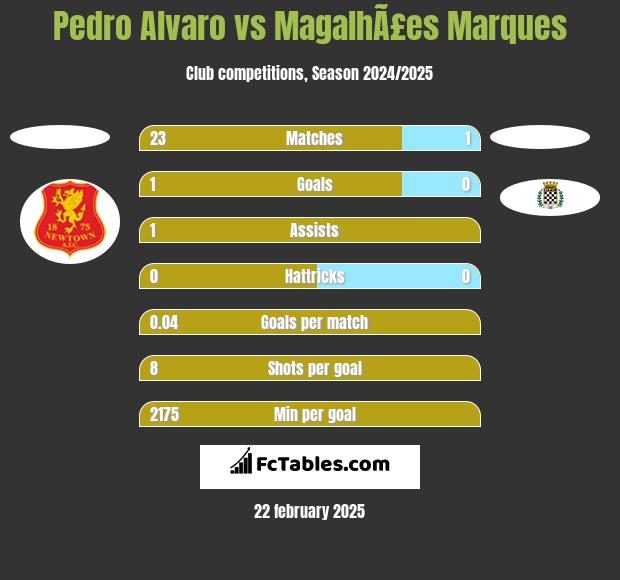 Pedro Alvaro vs MagalhÃ£es Marques h2h player stats