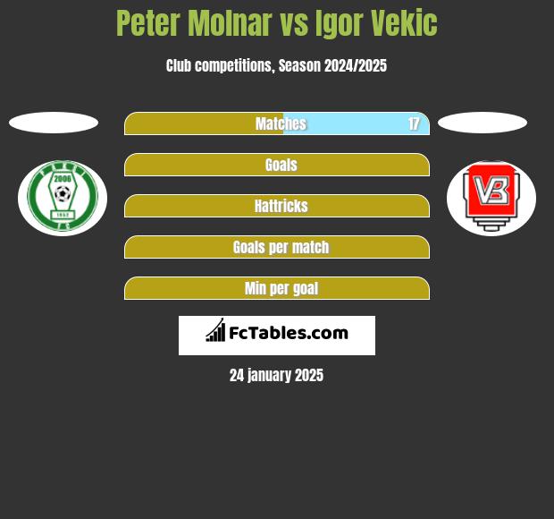 Peter Molnar vs Igor Vekic h2h player stats