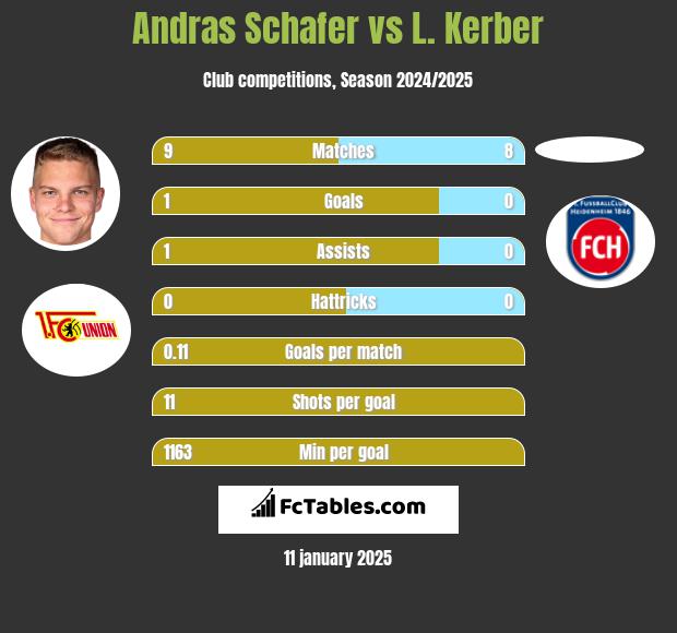 Andras Schafer vs L. Kerber h2h player stats