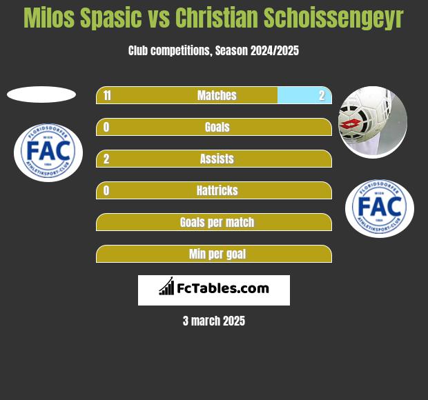 Milos Spasic vs Christian Schoissengeyr h2h player stats