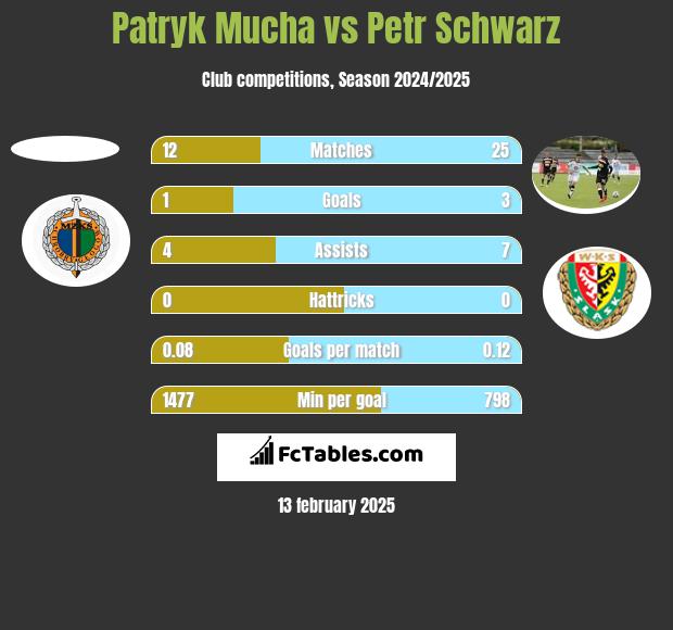 Patryk Mucha vs Petr Schwarz h2h player stats