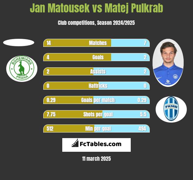 Jan Matousek vs Matej Pulkrab h2h player stats