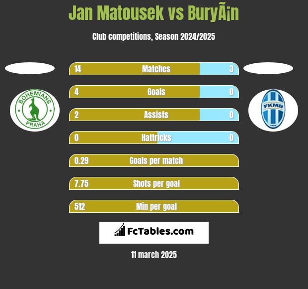 Jan Matousek vs BuryÃ¡n h2h player stats