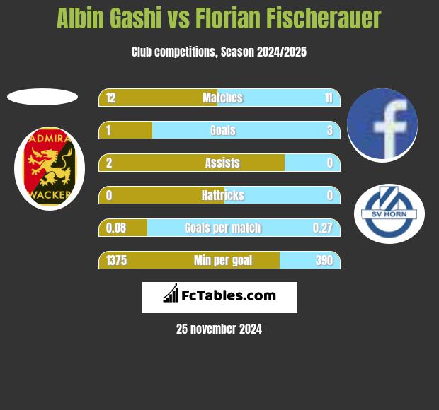 Albin Gashi vs Florian Fischerauer h2h player stats