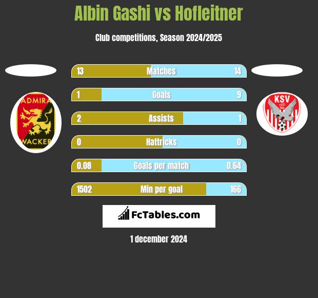 Albin Gashi vs Hofleitner h2h player stats