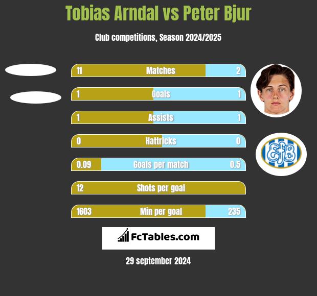 Tobias Arndal vs Peter Bjur h2h player stats