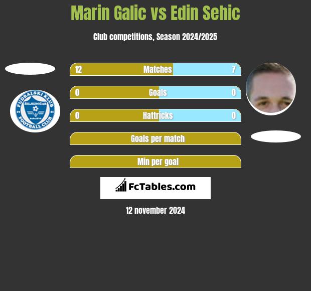 Marin Galic vs Edin Sehic h2h player stats