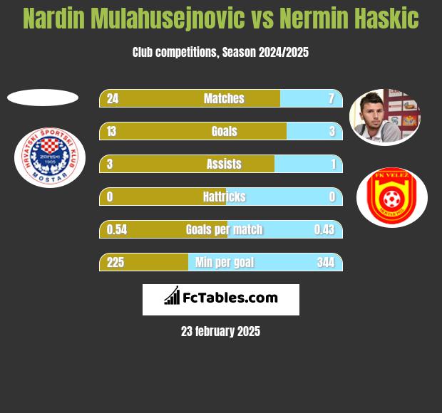 Nardin Mulahusejnovic vs Nermin Haskic h2h player stats