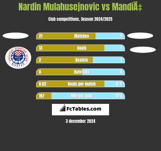 Nardin Mulahusejnovic vs MandiÄ‡ h2h player stats