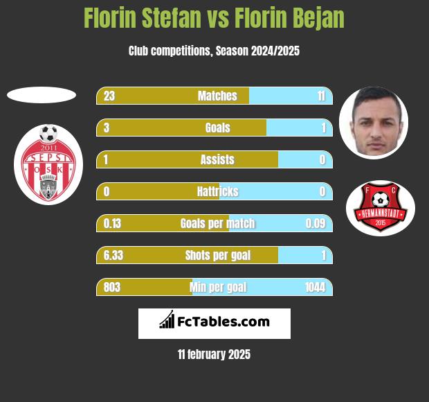 Florin Stefan vs Florin Bejan h2h player stats