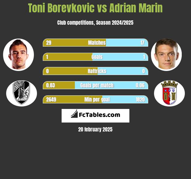 Toni Borevkovic vs Adrian Marin h2h player stats