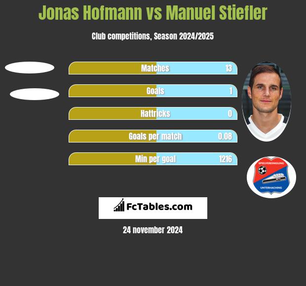 Jonas Hofmann vs Manuel Stiefler h2h player stats